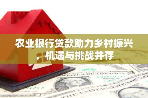 林甸农业银行贷款助力乡村振兴，机遇与挑战并存