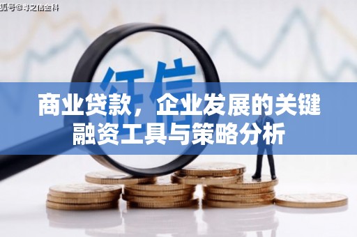 林甸商业贷款，企业发展的关键融资工具与策略分析