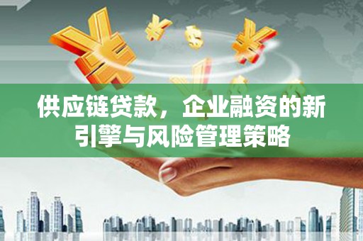 林甸供应链贷款，企业融资的新引擎与风险管理策略