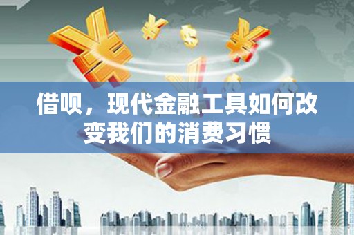 林甸借呗，现代金融工具如何改变我们的消费习惯