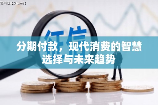 林甸分期付款，现代消费的智慧选择与未来趋势