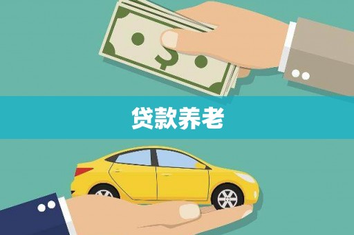 林甸贷款养老