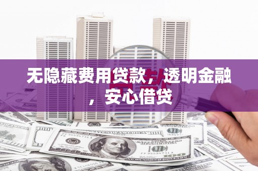 林甸无隐藏费用贷款，透明金融，安心借贷