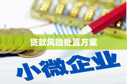 林甸贷款风险处置方案
