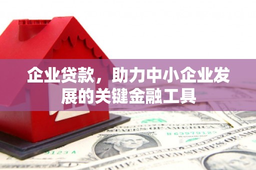 林甸企业贷款，助力中小企业发展的关键金融工具