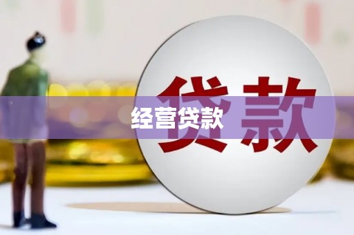 林甸经营贷款