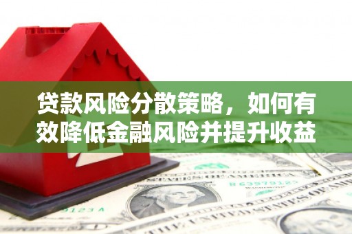 林甸贷款风险分散策略，如何有效降低金融风险并提升收益