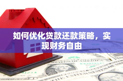 林甸如何优化贷款还款策略，实现财务自由