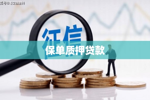 林甸保单质押贷款