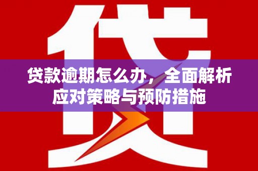 林甸贷款逾期怎么办，全面解析应对策略与预防措施