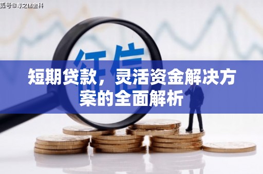 林甸短期贷款，灵活资金解决方案的全面解析