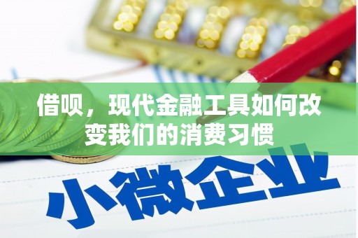 林甸借呗，现代金融工具如何改变我们的消费习惯
