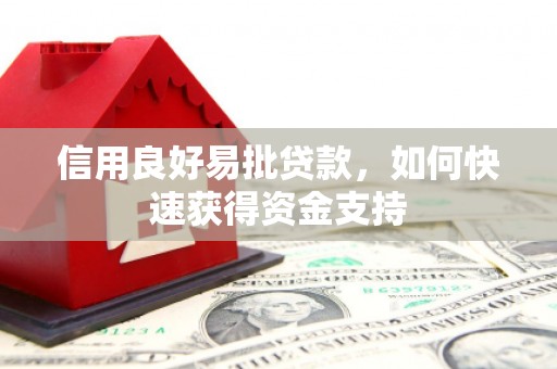 林甸信用良好易批贷款，如何快速获得资金支持