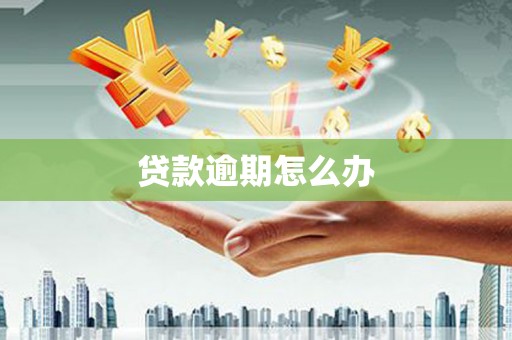 林甸贷款逾期怎么办