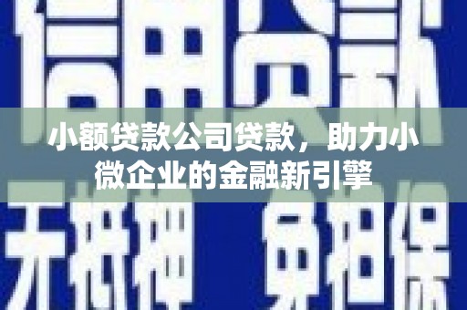 林甸小额贷款公司贷款，助力小微企业的金融新引擎
