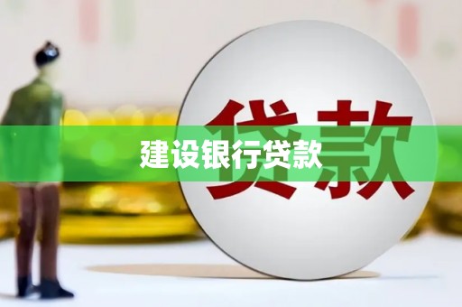 林甸建设银行贷款