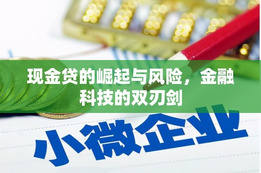 林甸现金贷的崛起与风险，金融科技的双刃剑