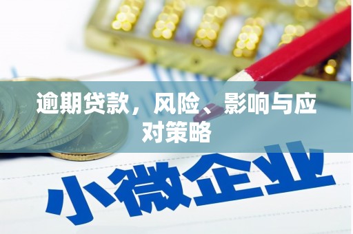 林甸逾期贷款，风险、影响与应对策略