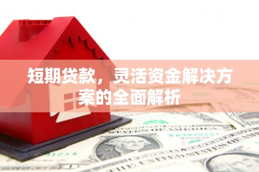林甸短期贷款，灵活资金解决方案的全面解析