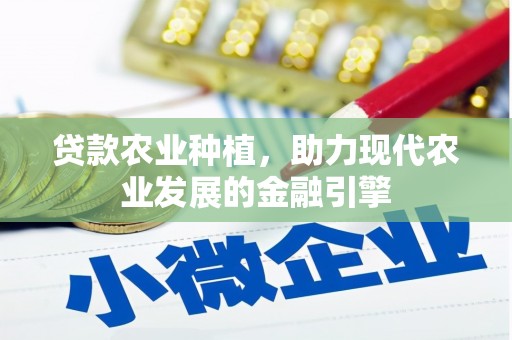 林甸贷款农业种植，助力现代农业发展的金融引擎