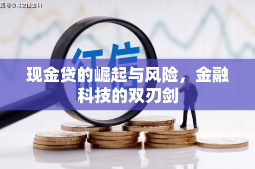 林甸现金贷的崛起与风险，金融科技的双刃剑