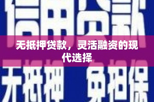 林甸无抵押贷款，灵活融资的现代选择