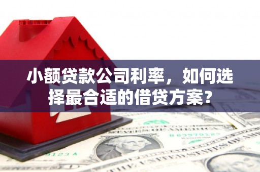 林甸小额贷款公司利率，如何选择最合适的借贷方案？