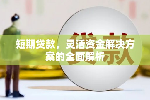 林甸短期贷款，灵活资金解决方案的全面解析