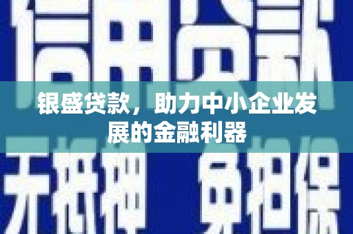 林甸银盛贷款，助力中小企业发展的金融利器