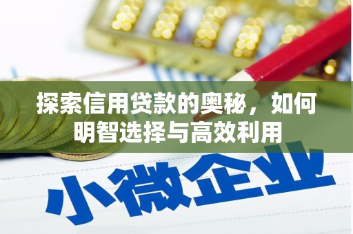 林甸探索信用贷款的奥秘，如何明智选择与高效利用