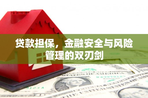 林甸贷款担保，金融安全与风险管理的双刃剑