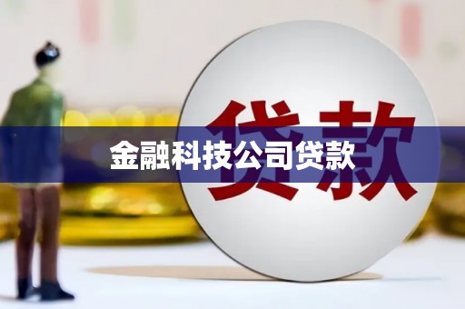 林甸金融科技公司贷款