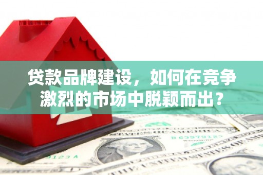 林甸贷款品牌建设，如何在竞争激烈的市场中脱颖而出？