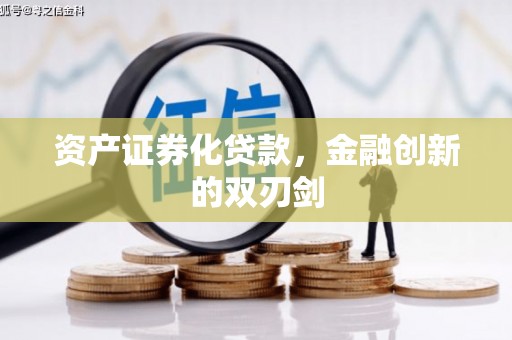 林甸资产证券化贷款，金融创新的双刃剑