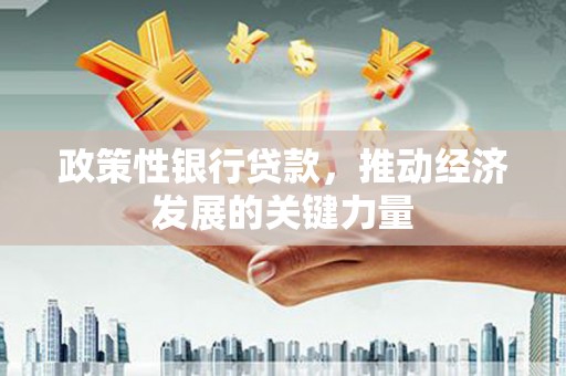 林甸政策性银行贷款，推动经济发展的关键力量