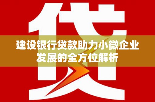 林甸建设银行贷款助力小微企业发展的全方位解析