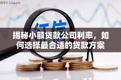 林甸揭秘小额贷款公司利率，如何选择最合适的贷款方案