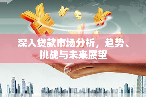 林甸深入贷款市场分析，趋势、挑战与未来展望