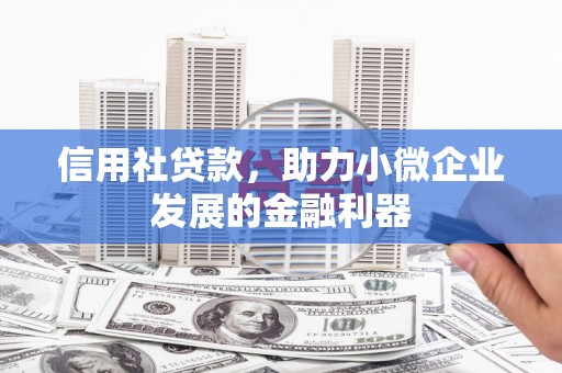 林甸信用社贷款，助力小微企业发展的金融利器