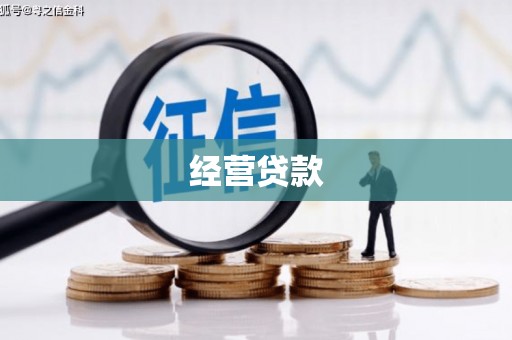 林甸经营贷款