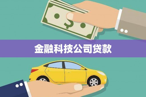 林甸金融科技公司贷款