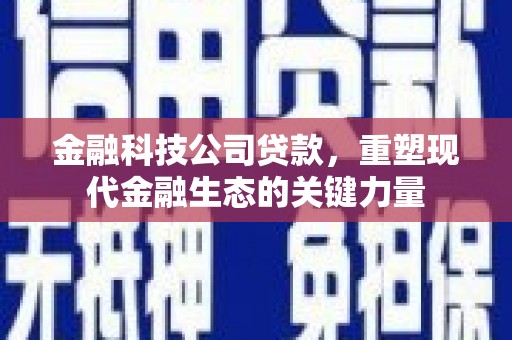 林甸金融科技公司贷款，重塑现代金融生态的关键力量