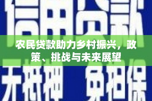 林甸农民贷款助力乡村振兴，政策、挑战与未来展望