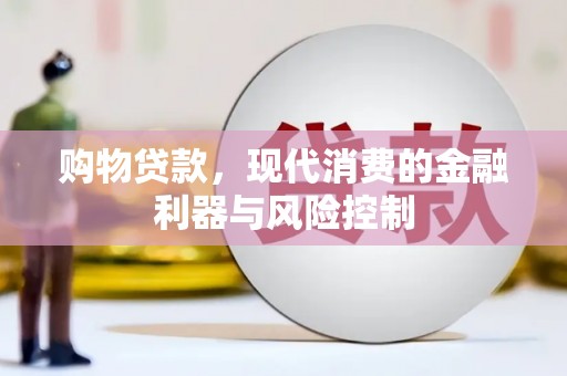 林甸购物贷款，现代消费的金融利器与风险控制