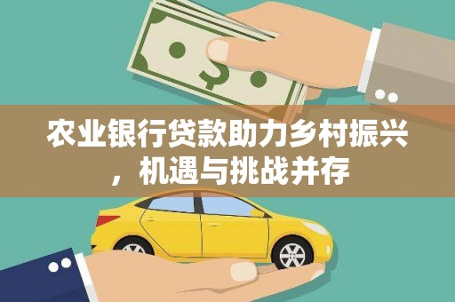 林甸农业银行贷款助力乡村振兴，机遇与挑战并存