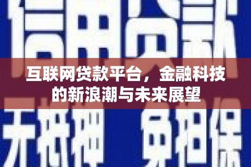 林甸互联网贷款平台，金融科技的新浪潮与未来展望