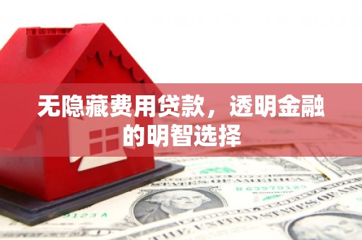 林甸无隐藏费用贷款，透明金融的明智选择