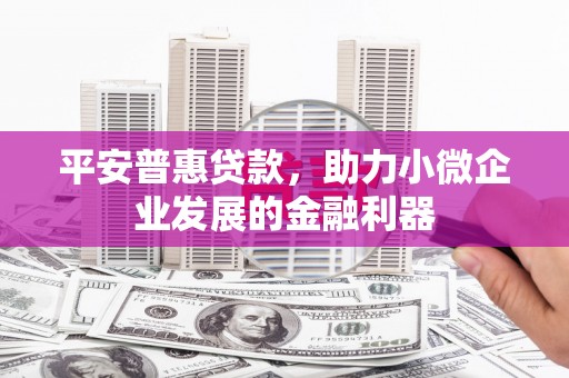 林甸平安普惠贷款，助力小微企业发展的金融利器