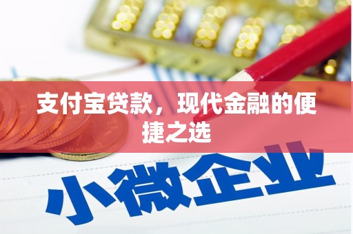 林甸支付宝贷款，现代金融的便捷之选