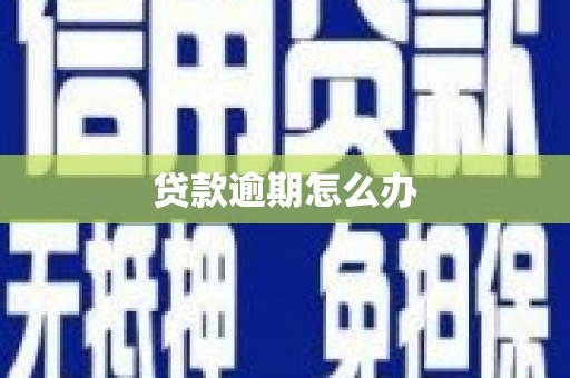 林甸贷款逾期怎么办